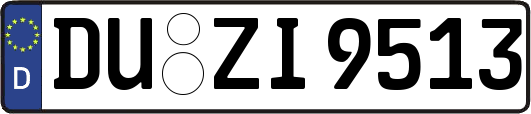 DU-ZI9513