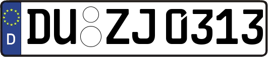 DU-ZJ0313