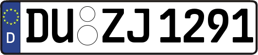 DU-ZJ1291