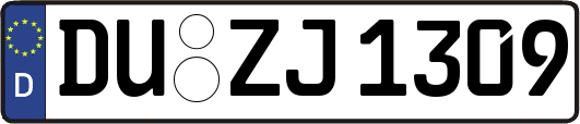 DU-ZJ1309