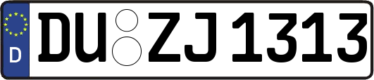 DU-ZJ1313