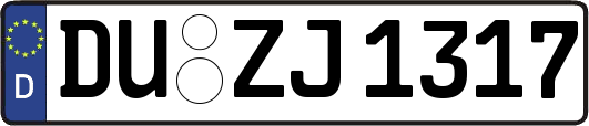 DU-ZJ1317