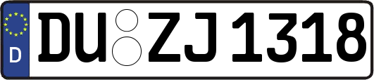 DU-ZJ1318