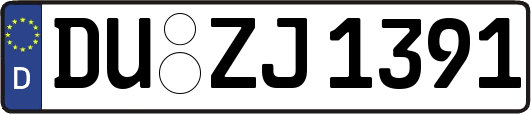 DU-ZJ1391
