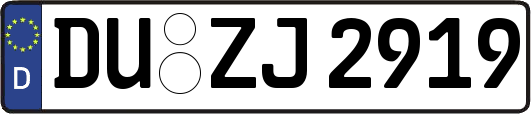 DU-ZJ2919