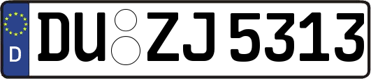 DU-ZJ5313