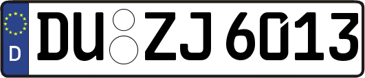 DU-ZJ6013