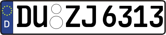 DU-ZJ6313