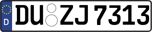 DU-ZJ7313