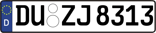 DU-ZJ8313