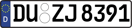 DU-ZJ8391