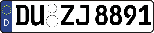 DU-ZJ8891