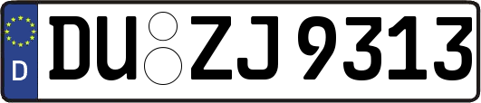 DU-ZJ9313