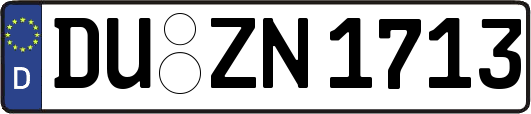 DU-ZN1713