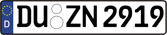 DU-ZN2919