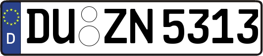 DU-ZN5313