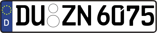 DU-ZN6075