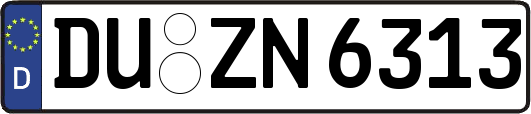 DU-ZN6313