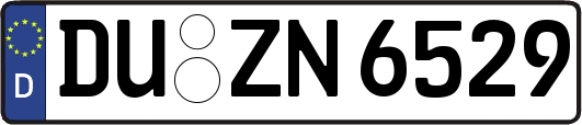 DU-ZN6529