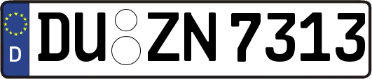DU-ZN7313