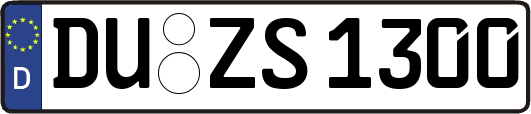 DU-ZS1300