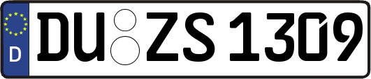 DU-ZS1309