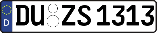 DU-ZS1313