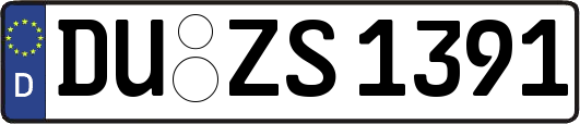 DU-ZS1391