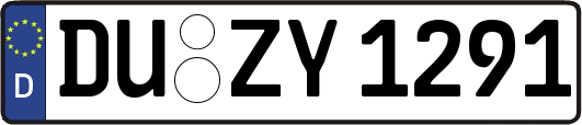 DU-ZY1291