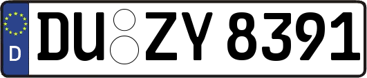 DU-ZY8391