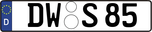 DW-S85