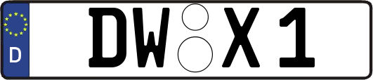 DW-X1