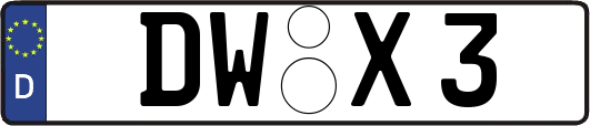 DW-X3