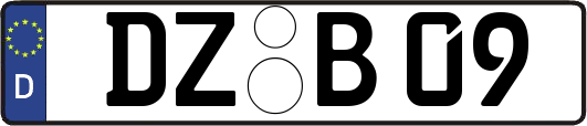 DZ-B09