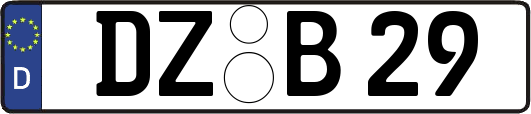 DZ-B29