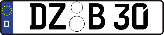DZ-B30
