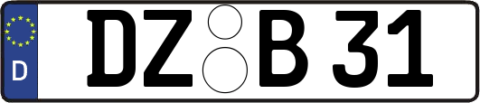 DZ-B31