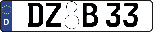DZ-B33