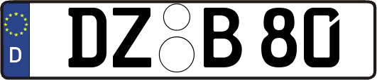 DZ-B80