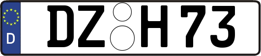 DZ-H73