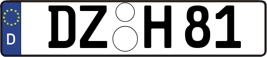 DZ-H81