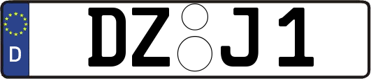 DZ-J1