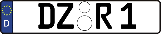DZ-R1