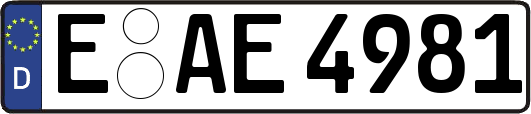 E-AE4981