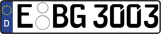E-BG3003
