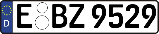 E-BZ9529