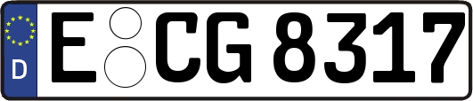 E-CG8317