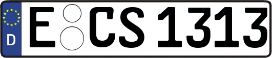 E-CS1313