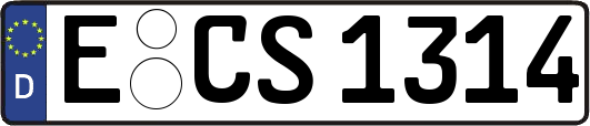 E-CS1314