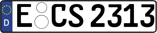 E-CS2313